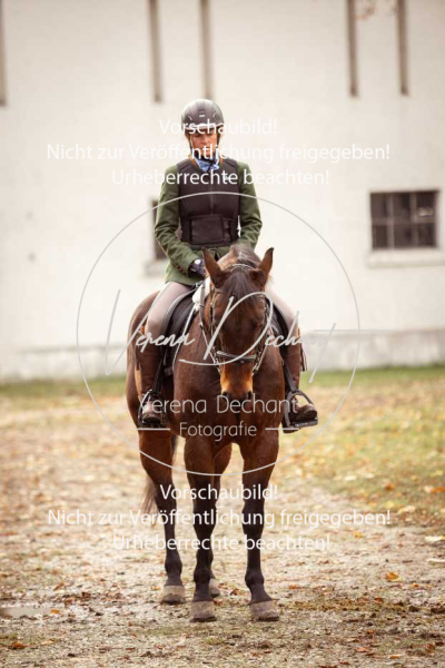 Schleppjagd_Gruenau-011