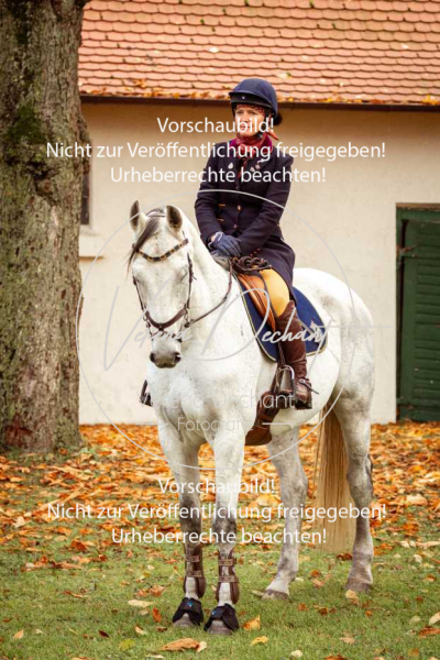 Schleppjagd_Gruenau-018