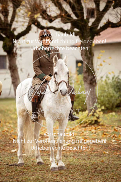 Schleppjagd_Gruenau-020-2