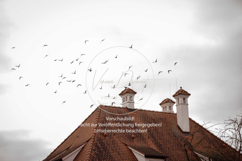 Schleppjagd_Gruenau-025