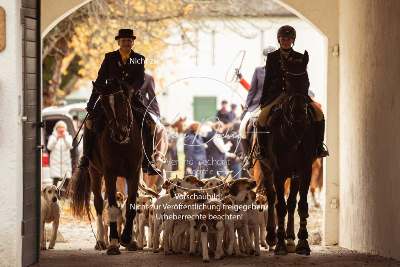 Schleppjagd_Gruenau-027