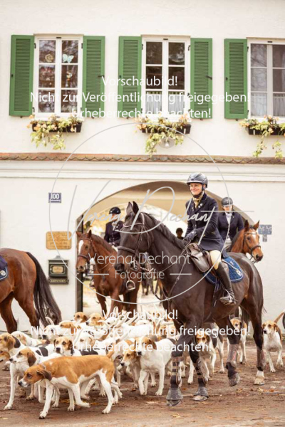 Schleppjagd_Gruenau-035-2