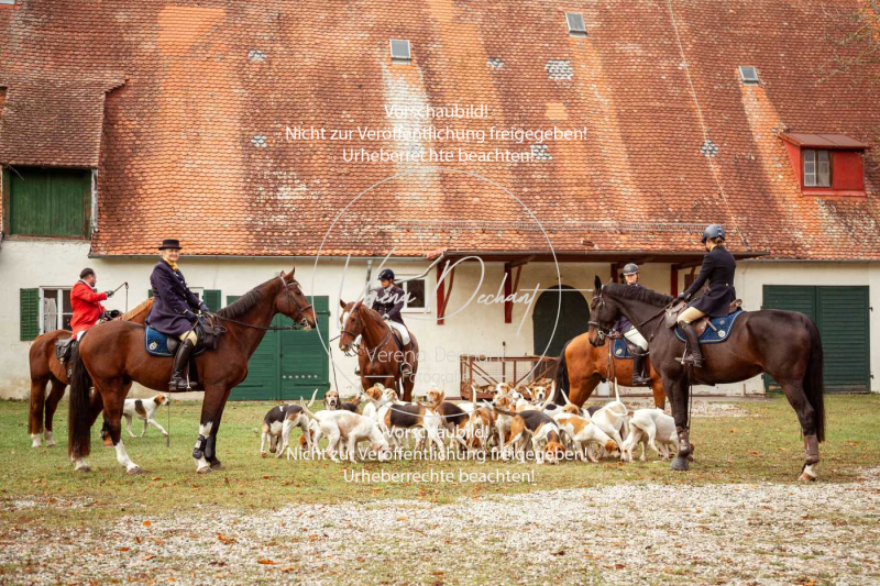 Schleppjagd_Gruenau-039