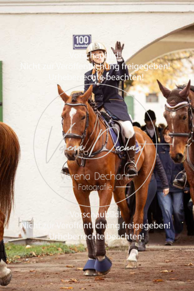 Schleppjagd_Gruenau-069