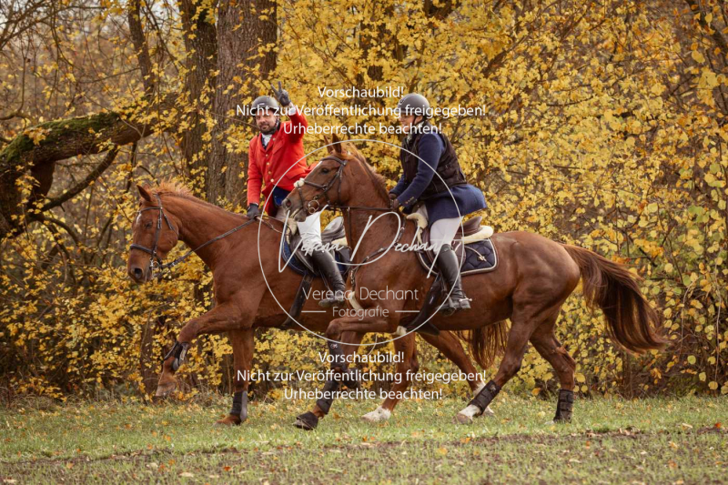 Schleppjagd_Gruenau-077