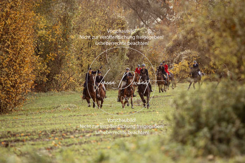 Schleppjagd_Gruenau-090