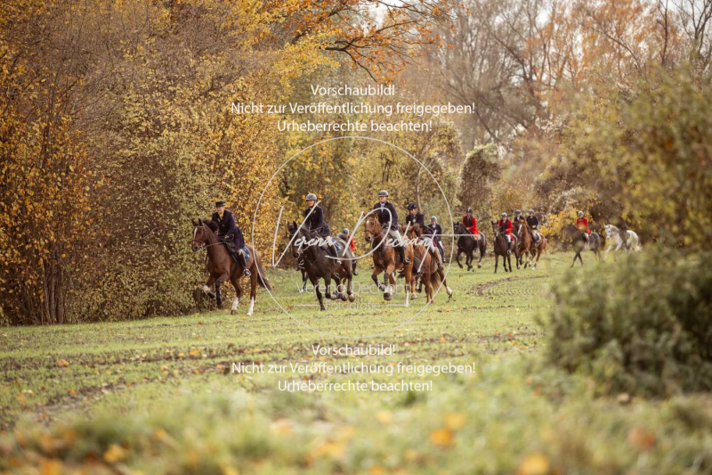 Schleppjagd_Gruenau-092