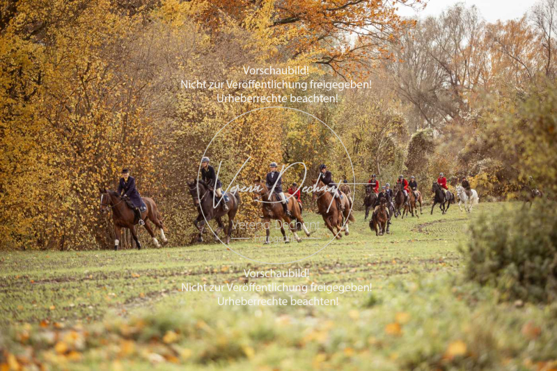 Schleppjagd_Gruenau-093