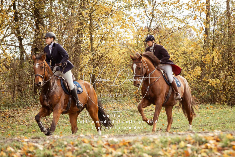 Schleppjagd_Gruenau-102