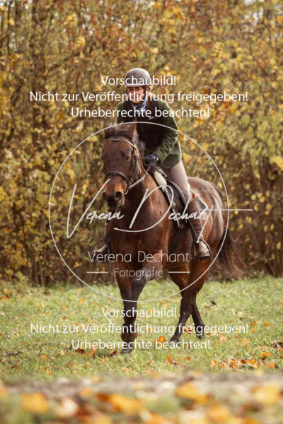 Schleppjagd_Gruenau-113