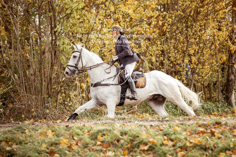 Schleppjagd_Gruenau-117