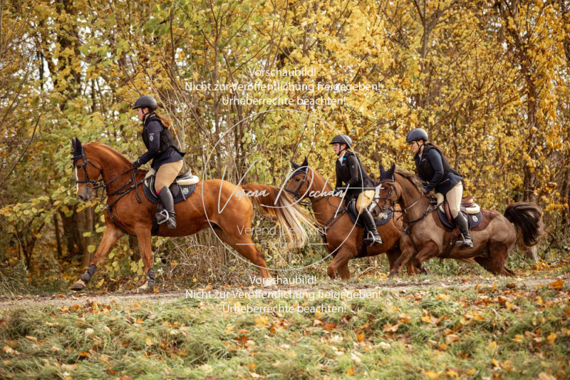 Schleppjagd_Gruenau-122