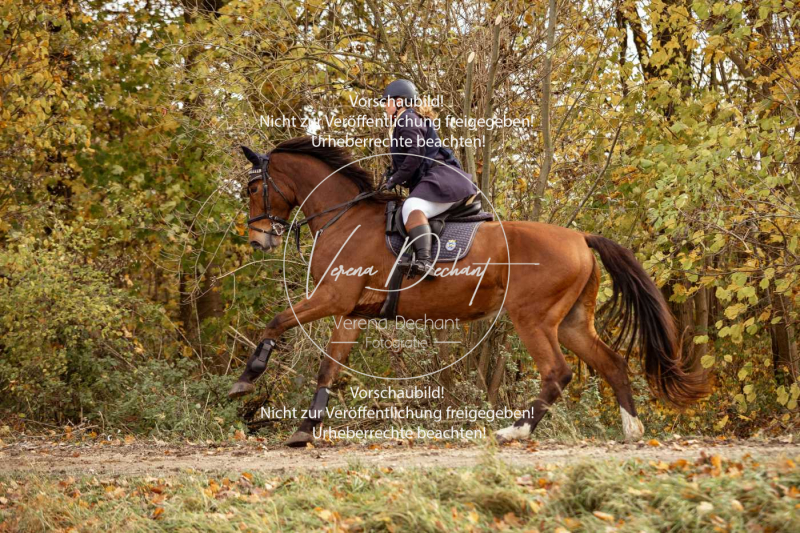 Schleppjagd_Gruenau-131