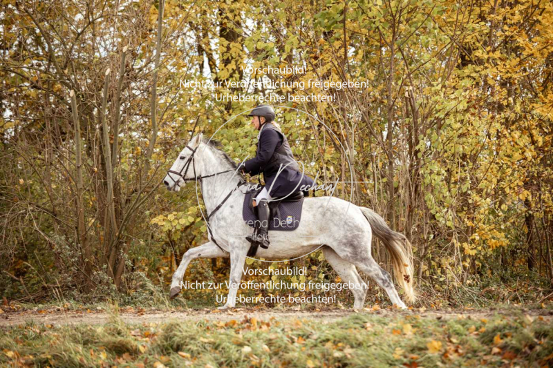 Schleppjagd_Gruenau-133