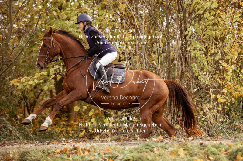 Schleppjagd_Gruenau-135