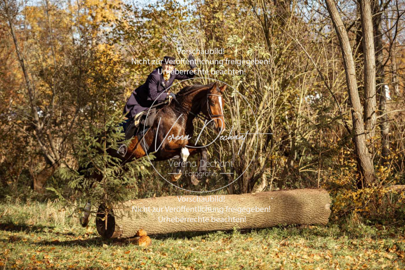 Schleppjagd_Gruenau-256