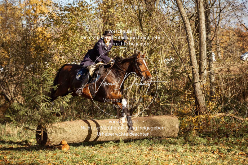 Schleppjagd_Gruenau-257