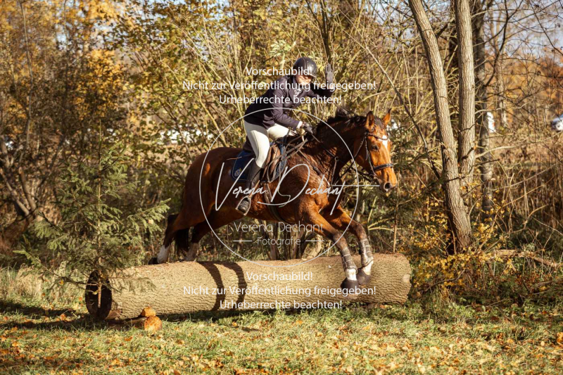 Schleppjagd_Gruenau-261