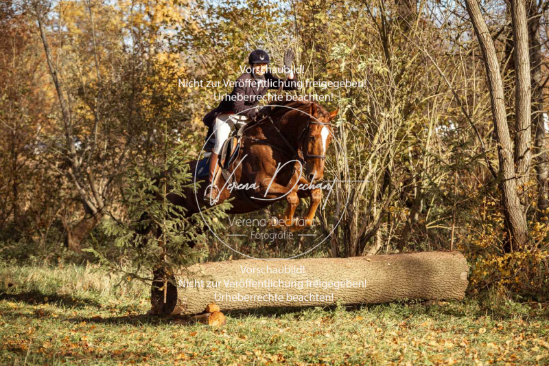 Schleppjagd_Gruenau-263