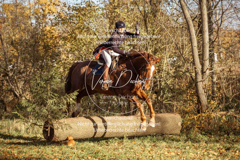 Schleppjagd_Gruenau-264