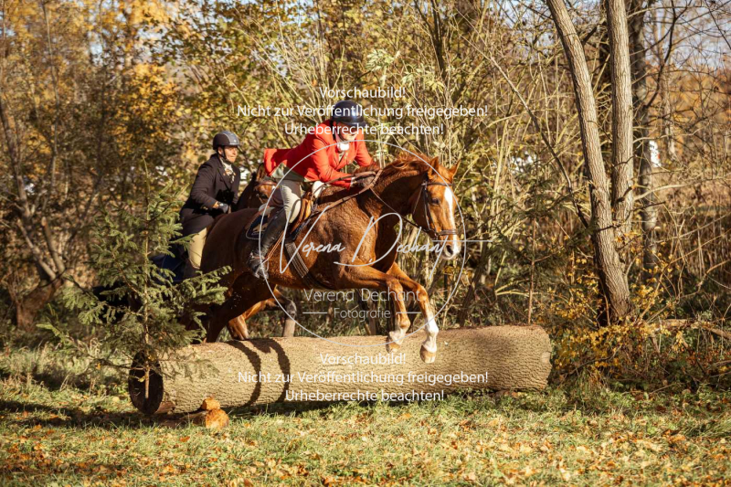 Schleppjagd_Gruenau-266