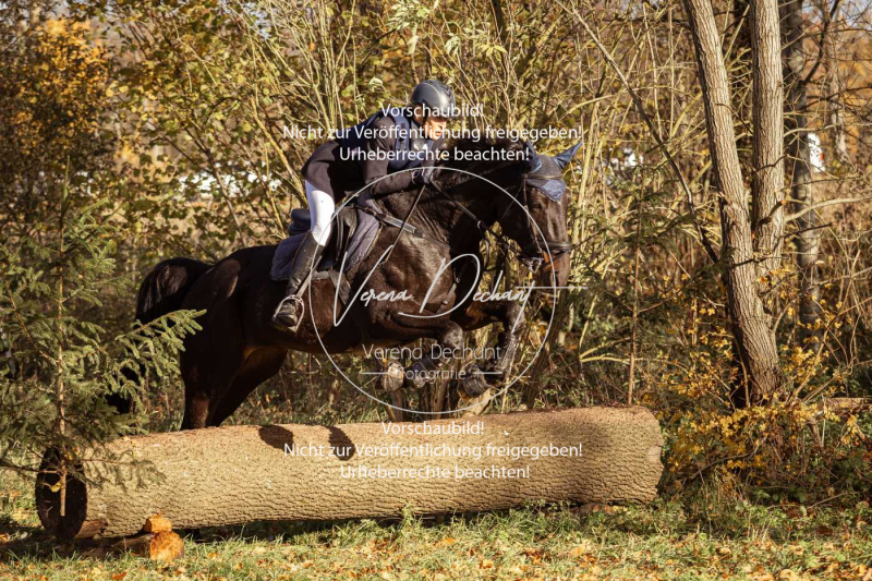 Schleppjagd_Gruenau-270