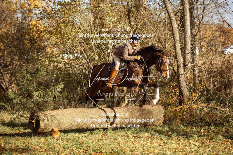 Schleppjagd_Gruenau-275