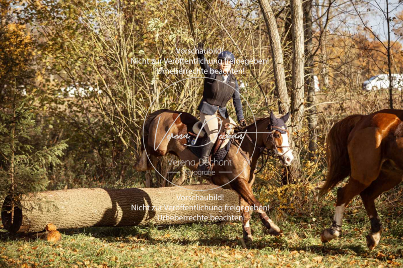 Schleppjagd_Gruenau-297