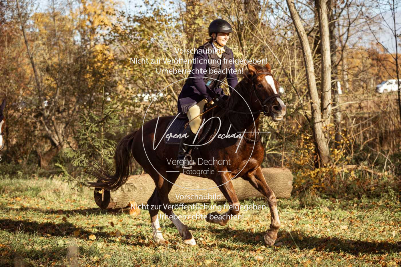 Schleppjagd_Gruenau-307