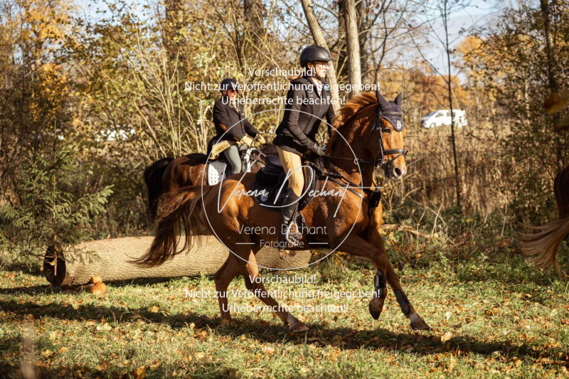 Schleppjagd_Gruenau-311