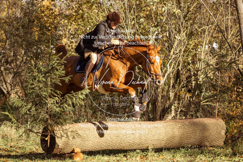 Schleppjagd_Gruenau-317