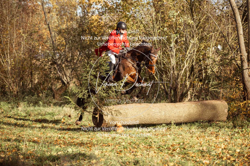 Schleppjagd_Gruenau-325