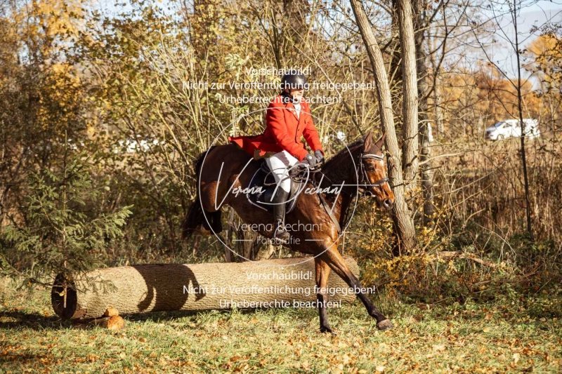 Schleppjagd_Gruenau-327