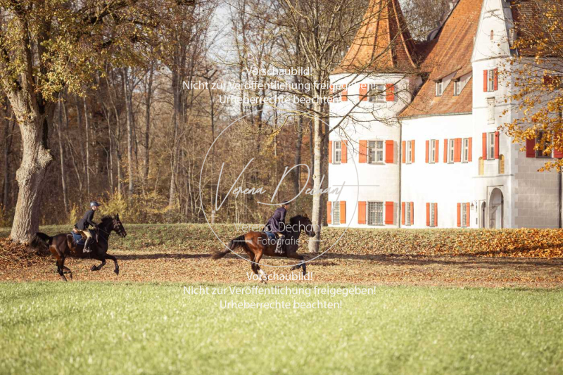 Schleppjagd_Gruenau-337