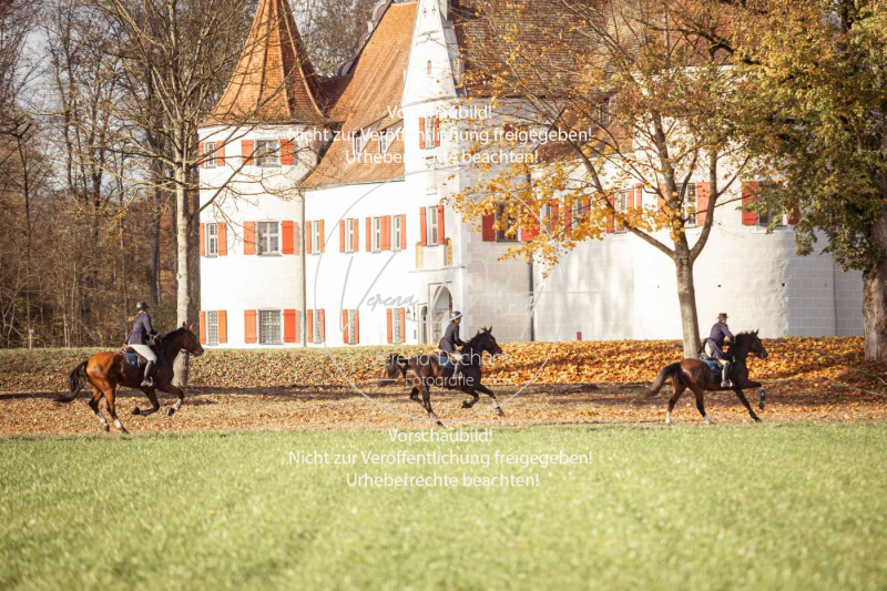 Schleppjagd_Gruenau-340