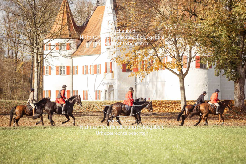 Schleppjagd_Gruenau-349