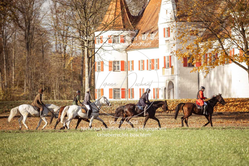 Schleppjagd_Gruenau-359