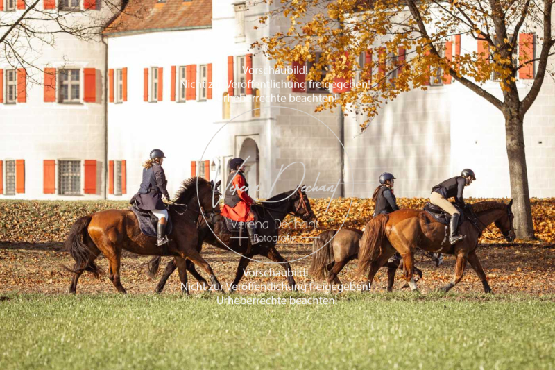 Schleppjagd_Gruenau-365