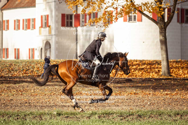 Schleppjagd_Gruenau-371