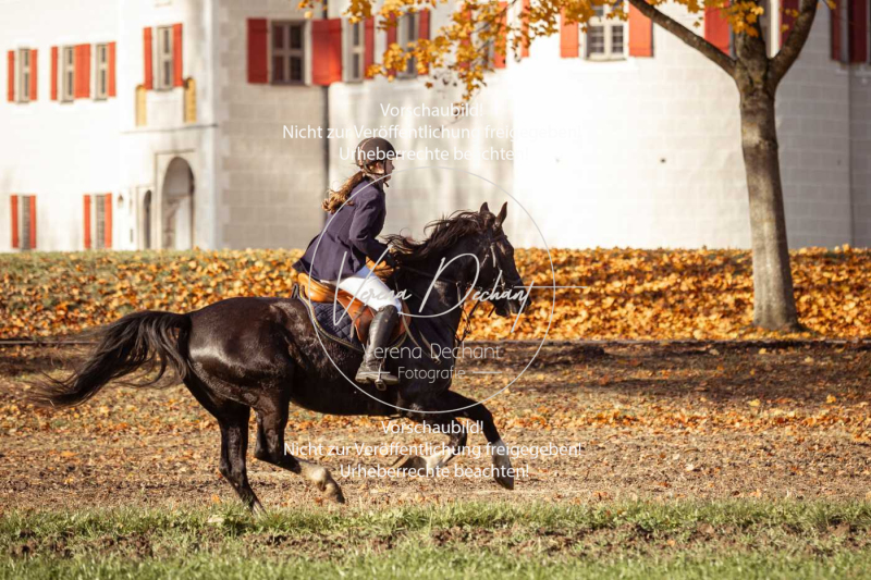 Schleppjagd_Gruenau-377