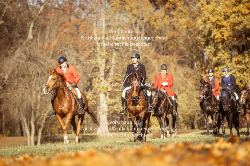 Schleppjagd_Gruenau-379