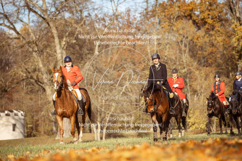 Schleppjagd_Gruenau-381