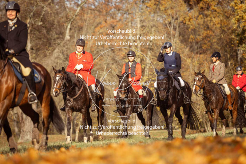 Schleppjagd_Gruenau-383