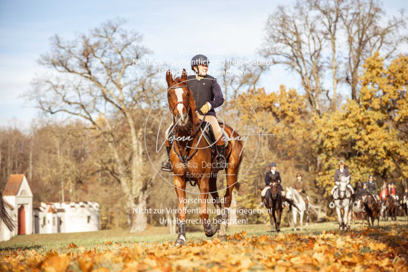 Schleppjagd_Gruenau-393