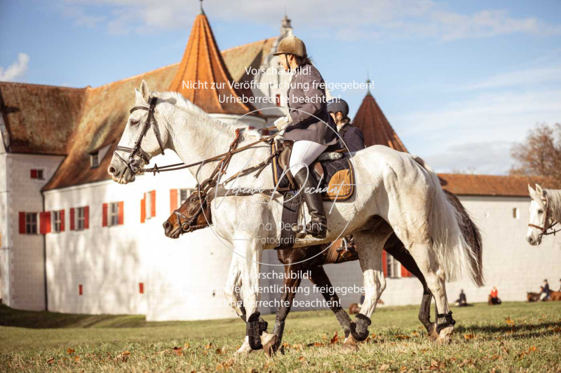 Schleppjagd_Gruenau-397