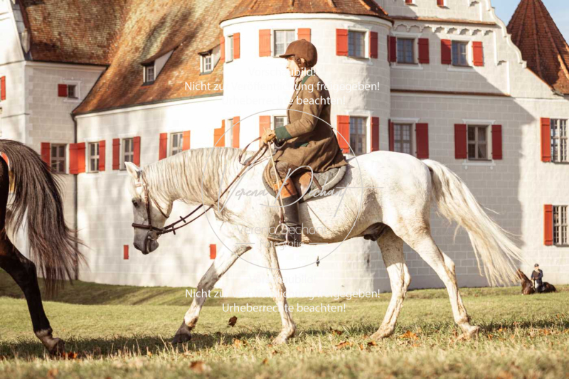 Schleppjagd_Gruenau-399