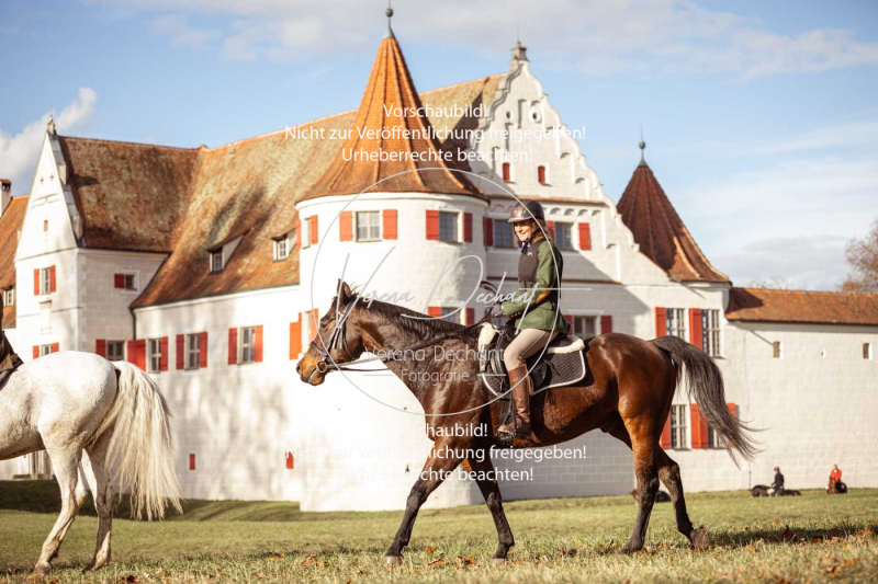 Schleppjagd_Gruenau-401