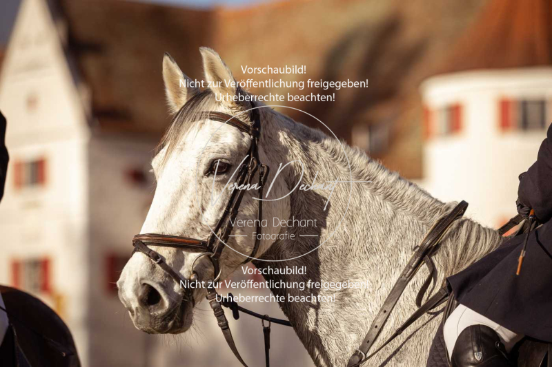 Schleppjagd_Gruenau-460