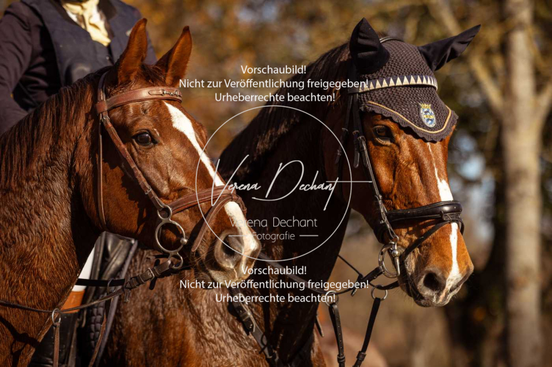 Schleppjagd_Gruenau-465