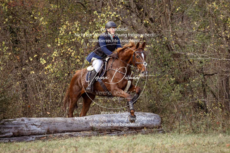 Schleppjagd_Gruenau-471